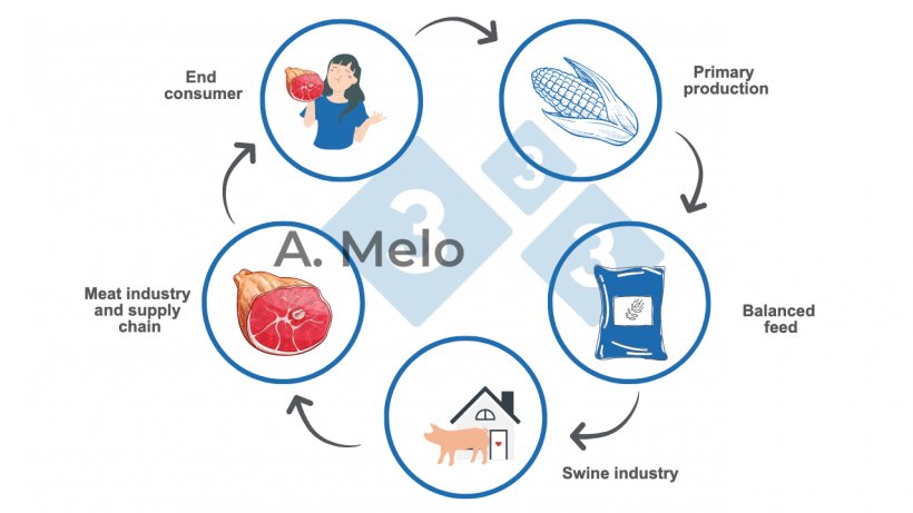 Graph 1. The food chain from primary production&nbsp;to the end consumer&#39;s table.
